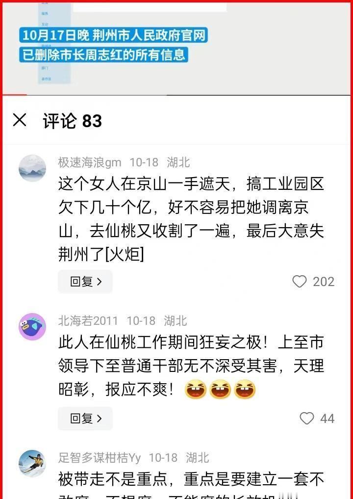 荆州美女市长周志红，53岁正当年，却因原则错误前途尽毁。她从华师学霸到武大辅导员