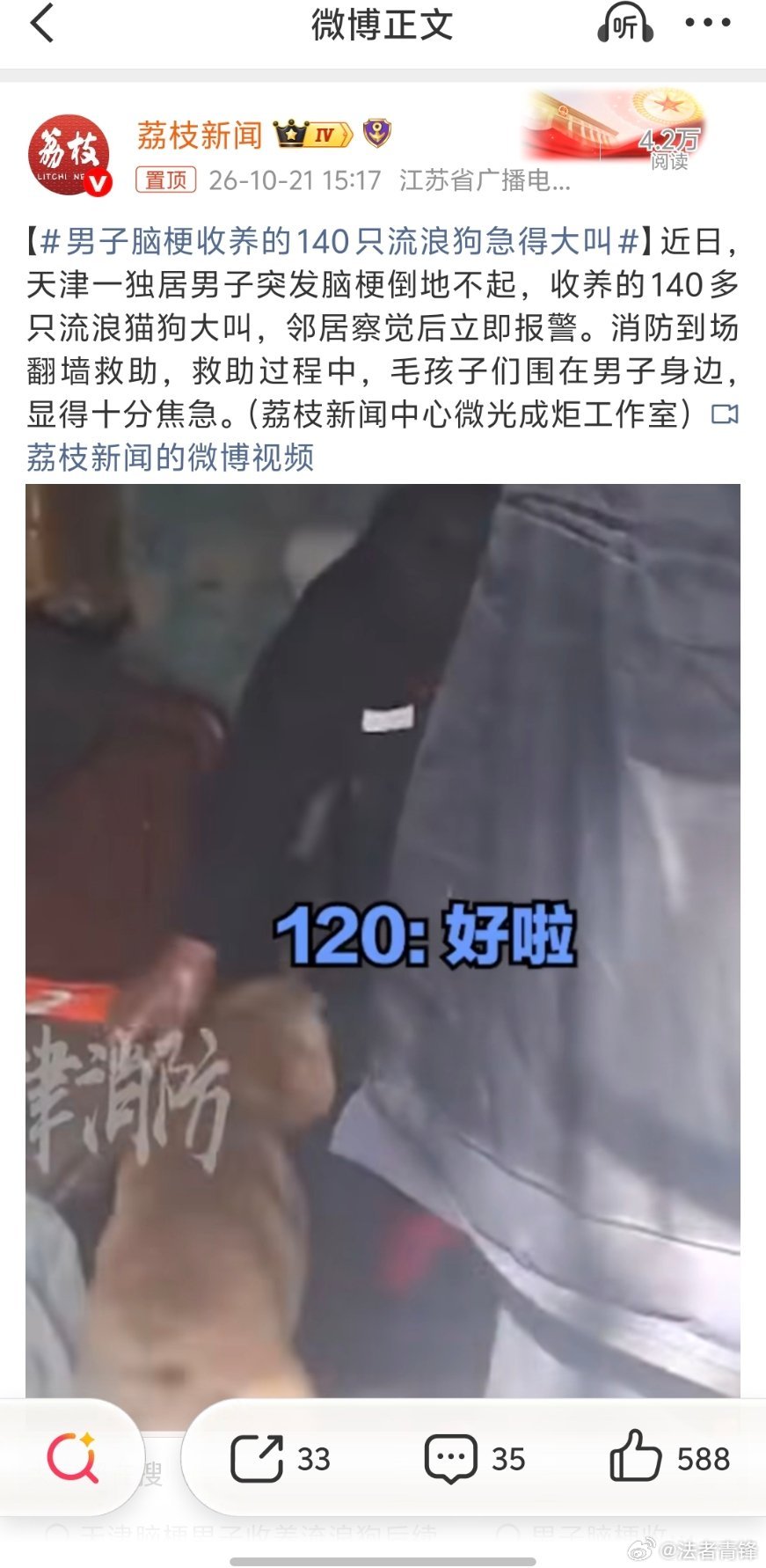 男子脑梗收养的140只流浪狗急得大叫乍看是一个温情故事，但实际上却是存在巨大安全