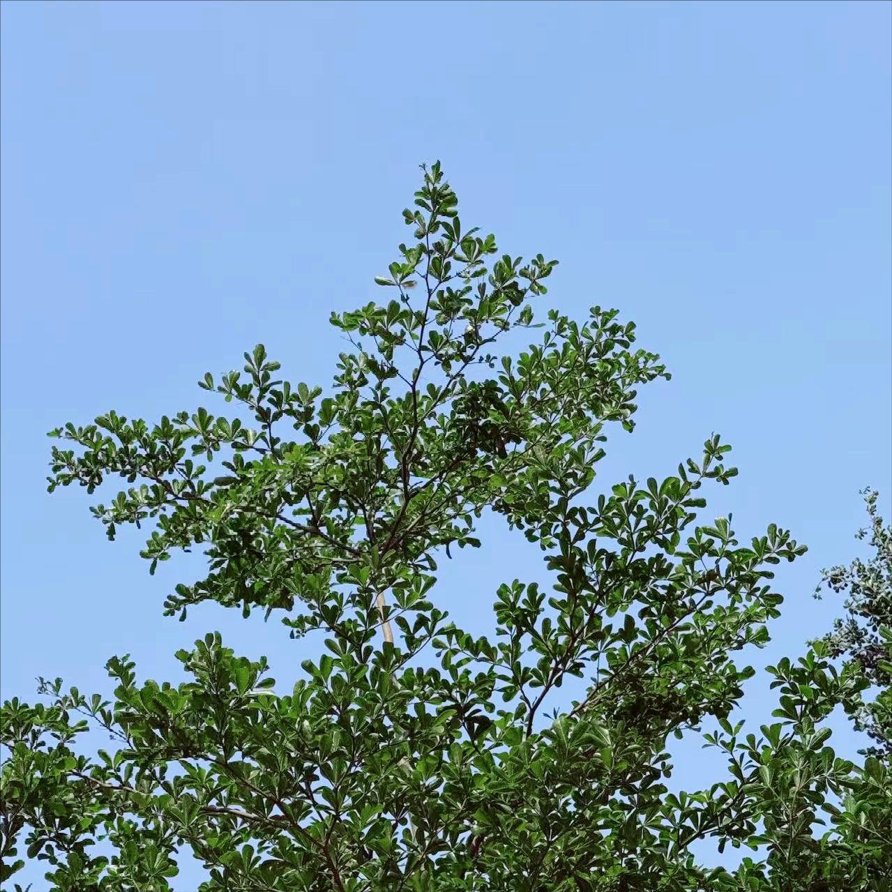 今天上午   中央纪委：执纪审查1人
 
4月9日上午，该部门执纪审查1人，为已