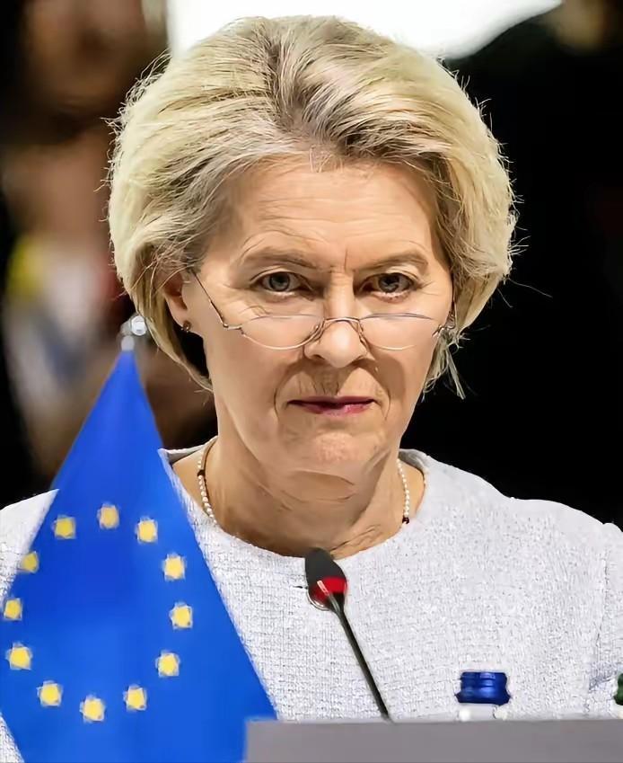 冯德莱恩被当众怒斥，欧洲议员呼吁将其关进疯人院。针对欧盟主席冯德莱恩不断推动的争