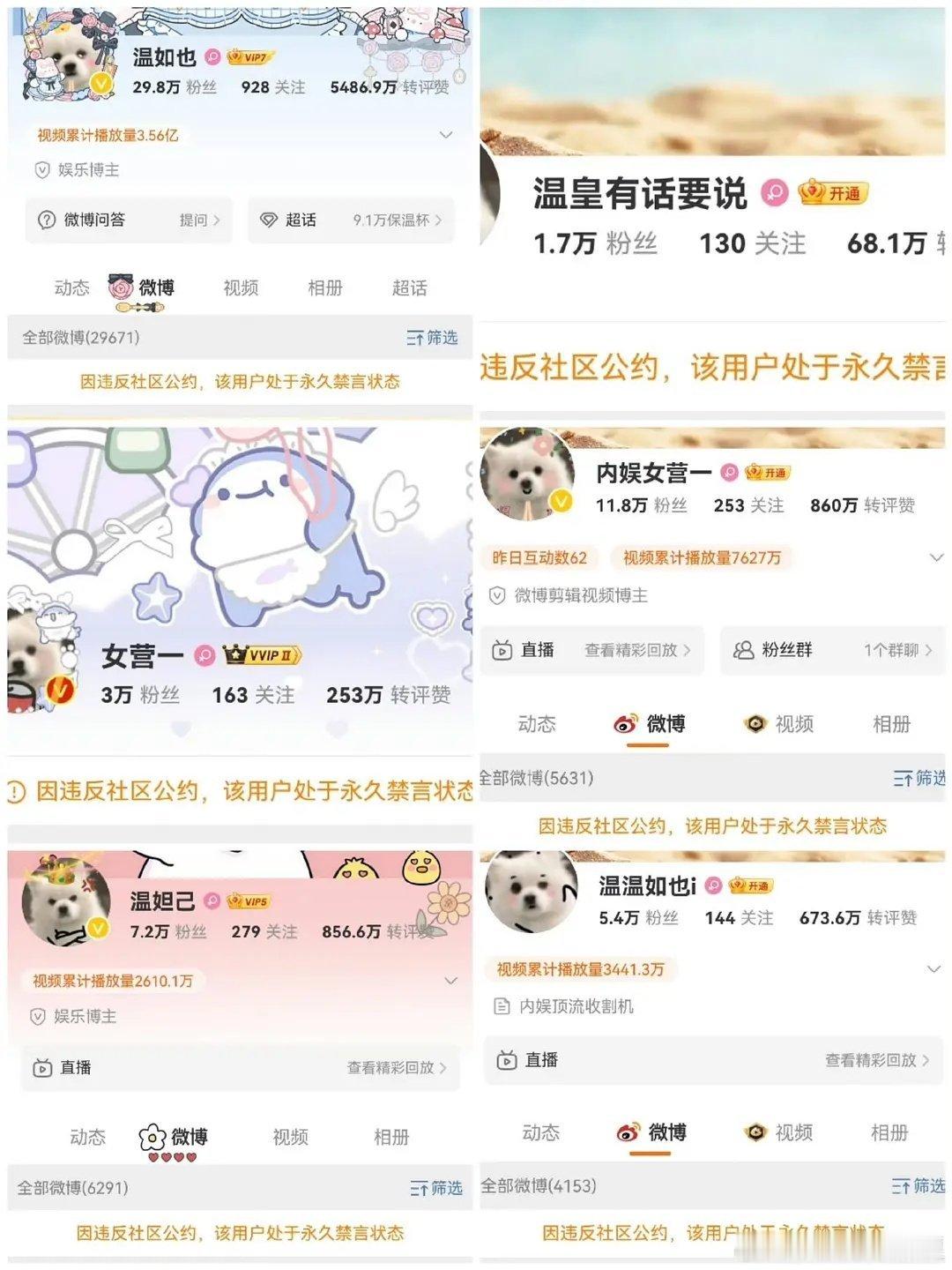 温如也的每个号都被永久封禁了诶 ​​​