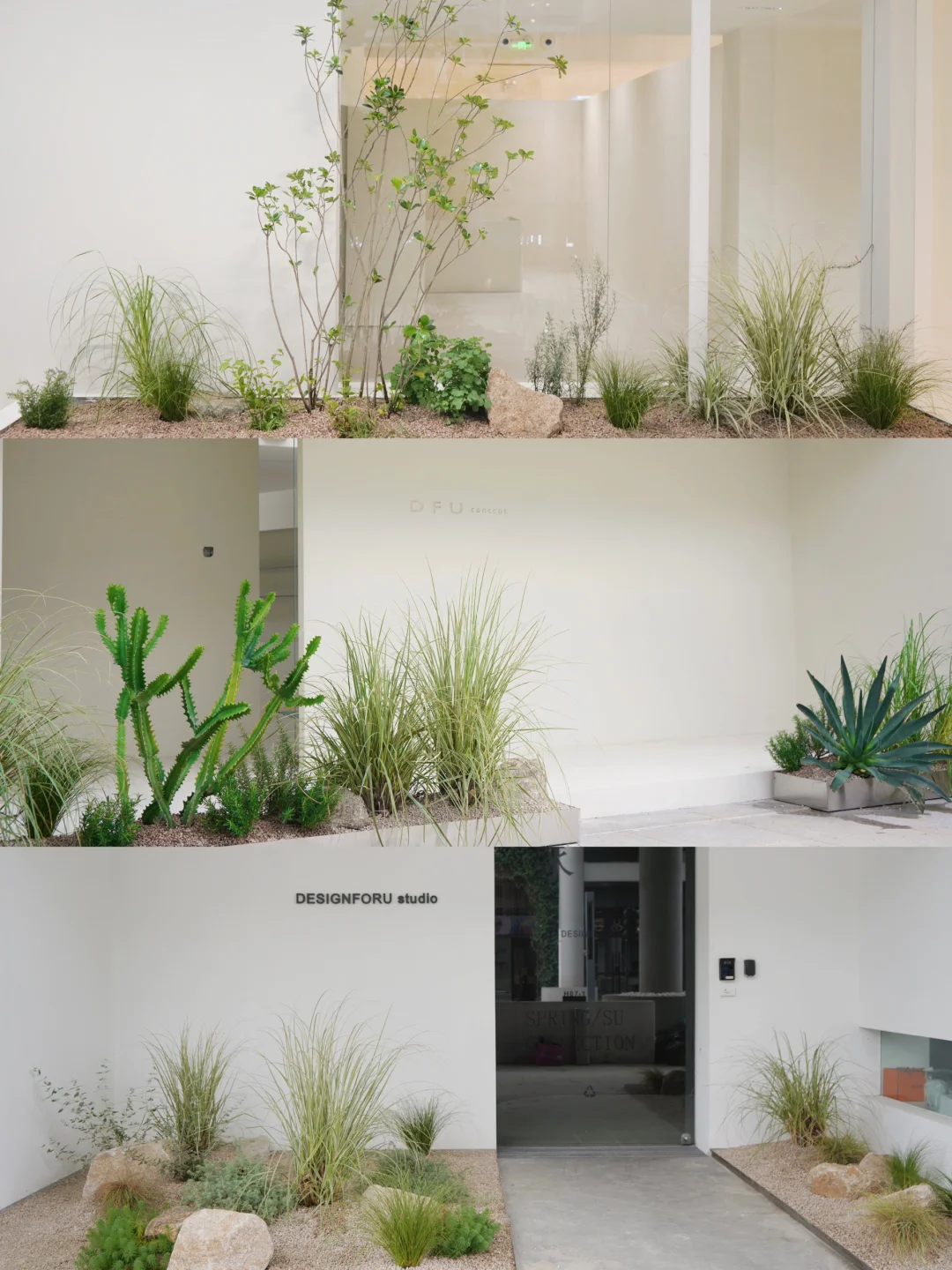 东植x DFU |绿植造景 营造不同空间氛围🌵