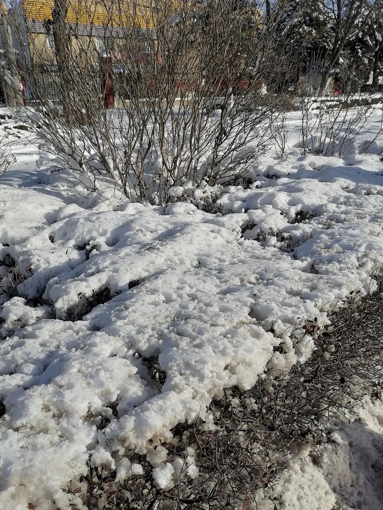 浪淘沙
惜雪
心急盼回家，喜庆新年，北风呼啸雪飞扬，山川大地披银妆，风景如画。