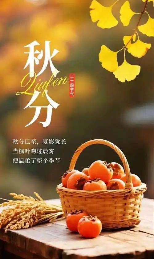 秋分这天的仪式感，昼夜均分，秋色平分。寒暑各一半，日子慢慢走向清寒。

昼夜平分