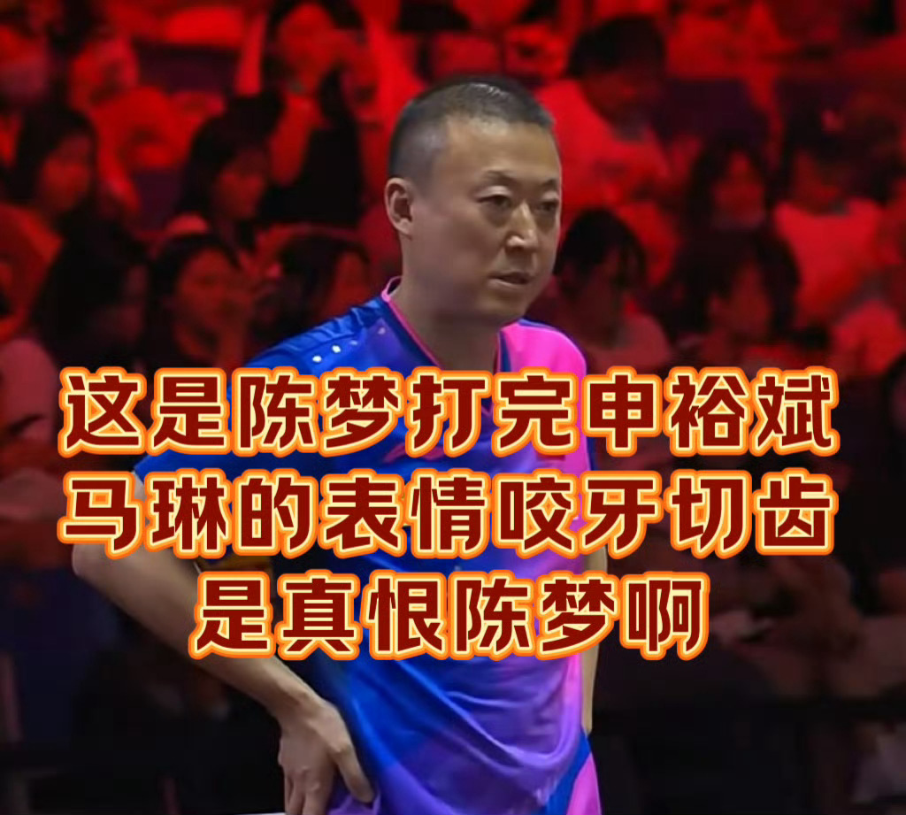 这个时候的厨子彻底不演了 是真恨我姐啊 