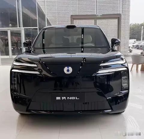 腾势N8L太懂家庭！六座+专属座椅+冰箱，出行痛点全拿捏
 
选家庭大六座SUV