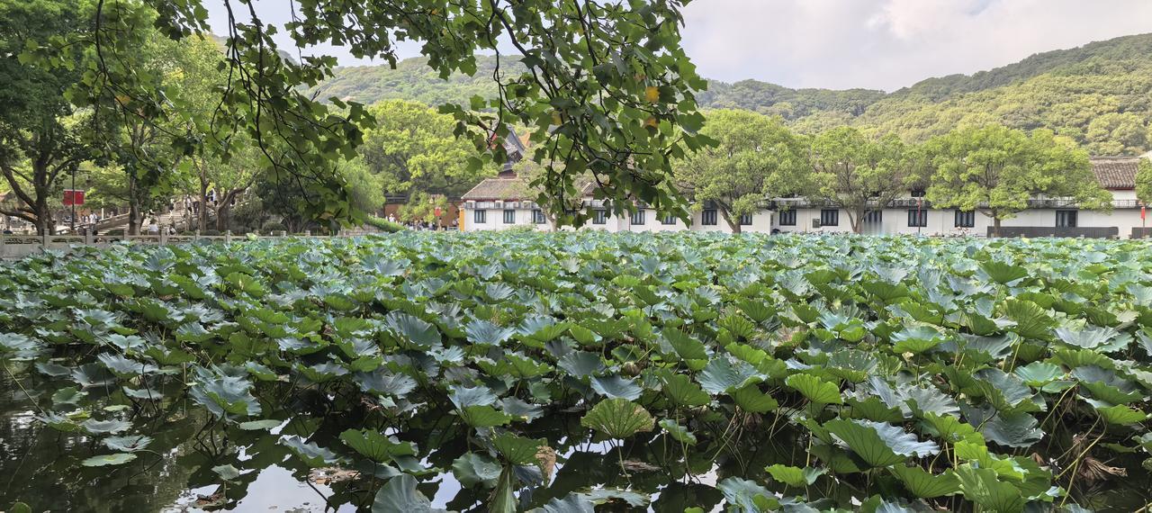 观当代，每类能读2-3本者凤毛麟角