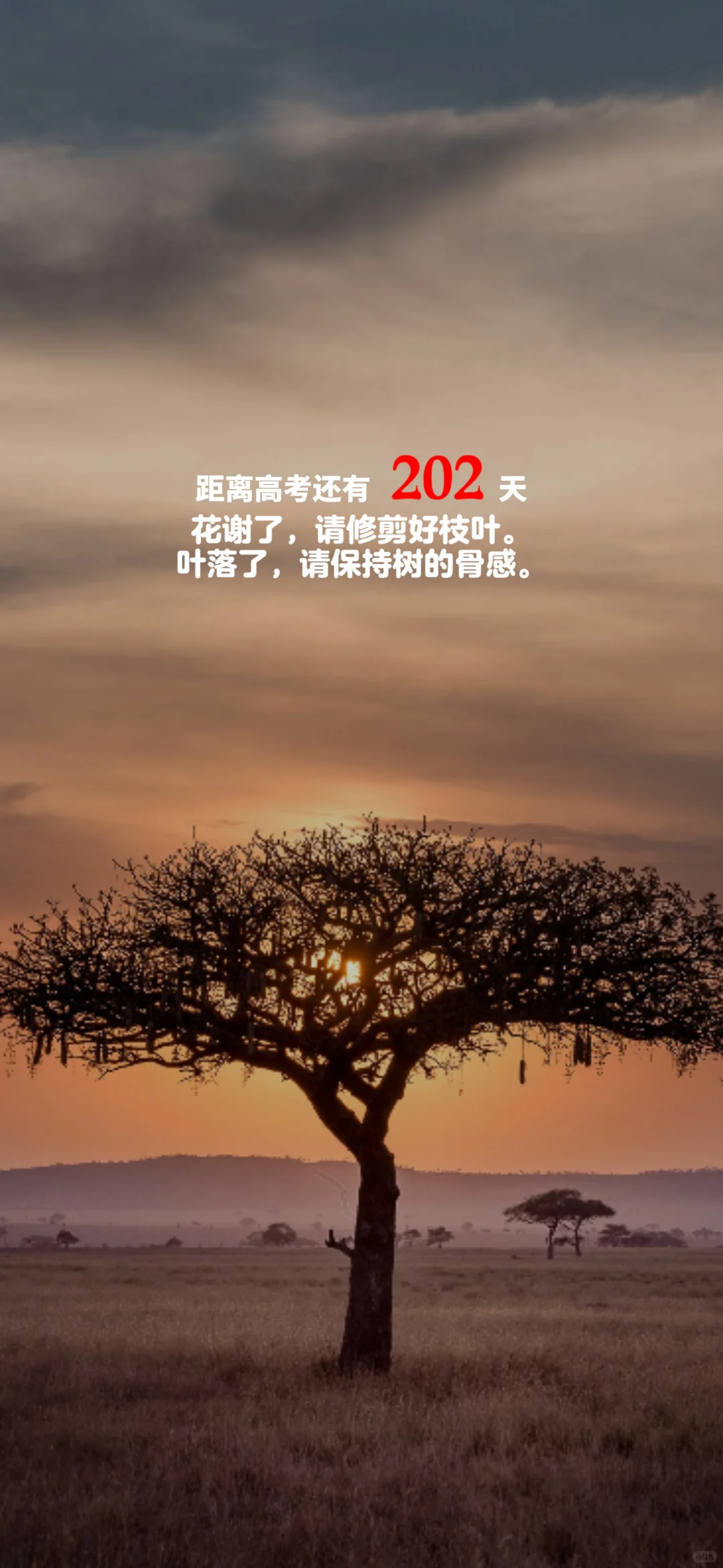 2025高考倒计时，每日更新。