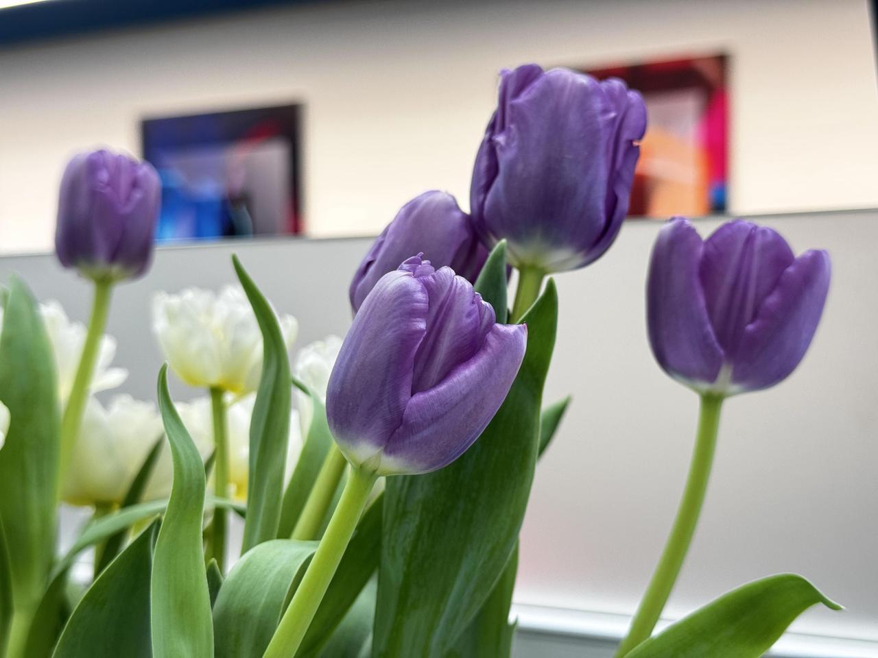 感觉没有家教没有素质的孩子在学校里反而不被欺负，不被霸凌，大家有没有这种感觉？