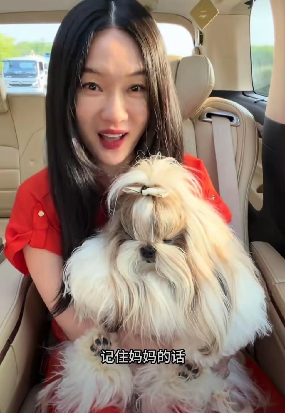 霍思燕姐姐家到底养了多少条爱犬 
