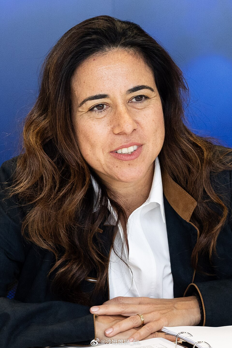 阿联酋政治事务助理部长拉娜·努塞贝表示：在袭击仍在持续之际，很难谈论进行调解。伊