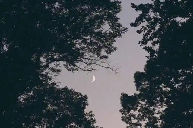 人生如星辰，相遇方显璀璨。有趣的灵魂终将邂逅，在此之前，请先静心雕琢更好的自己。