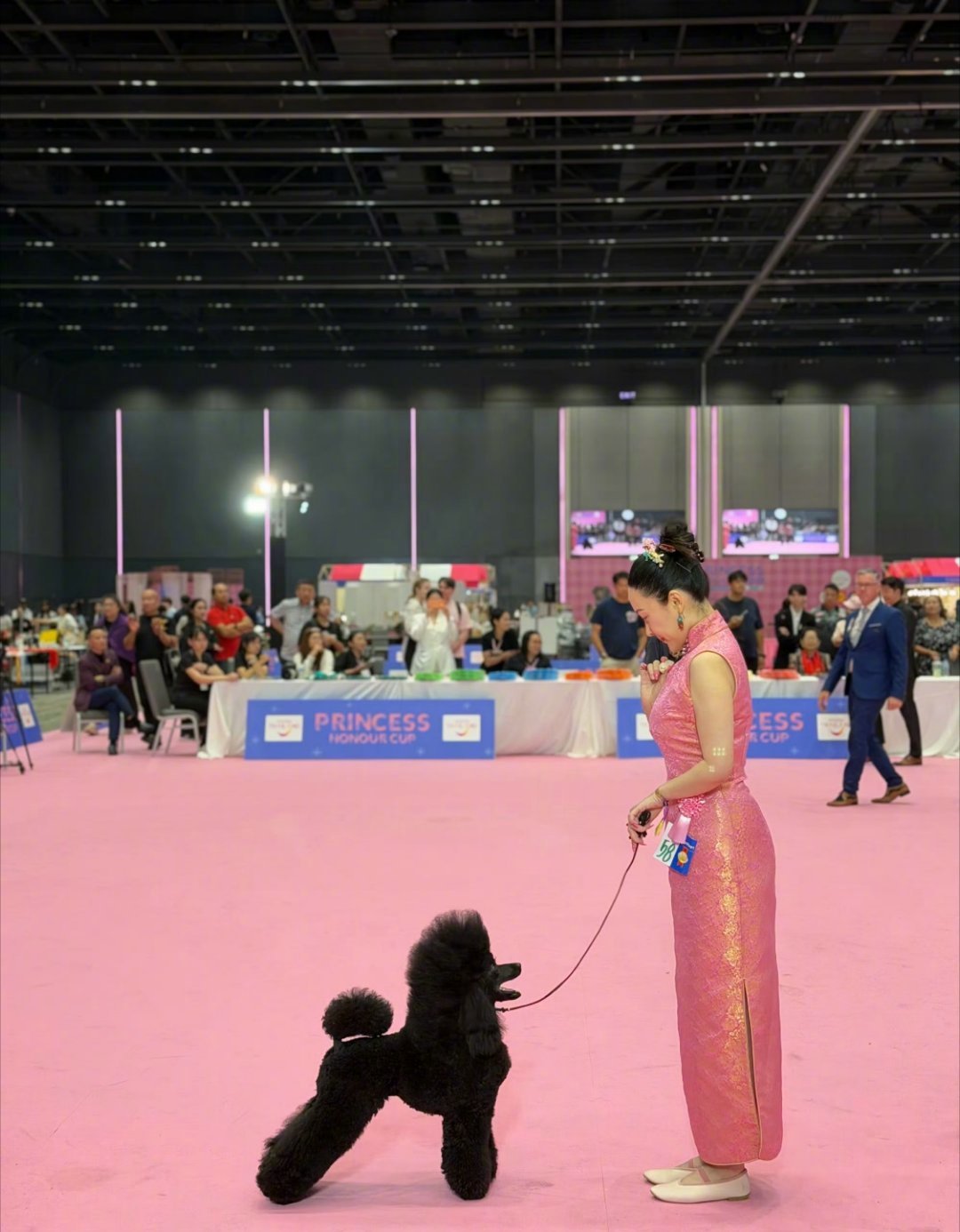 霍思燕回应爱犬在泰国夺冠霍思燕愿每只毛孩子被温柔以待4月9日，霍思燕分享爱犬霍蜜