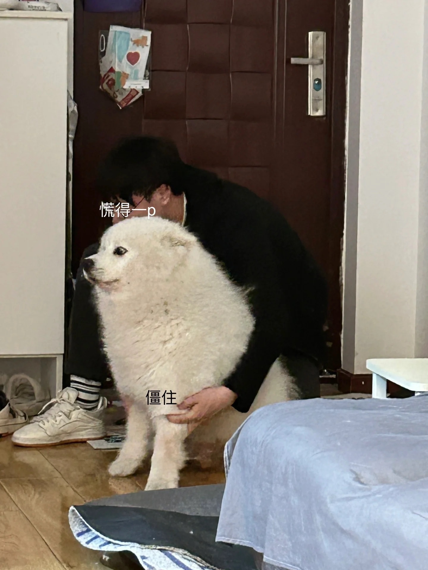 男友和狗不能独处 不然伤狗 ​​​