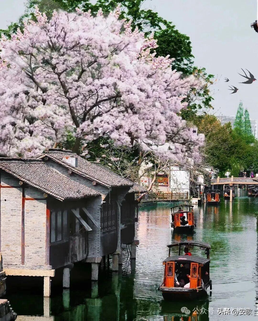 上联:清风有意梳杨柳
下联:细雨无声润桃李
横批:春意盎然