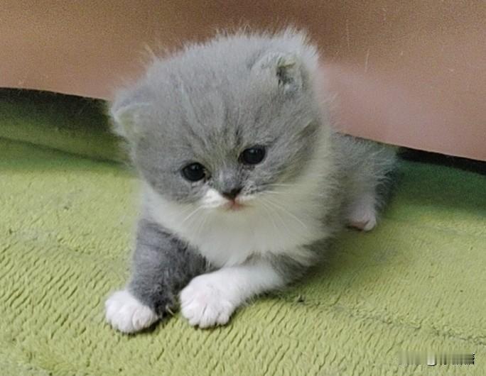 女人爱财爱己风生水起。

女人一定要把散落在老公孩子身上的精气收回来，
滋养自己