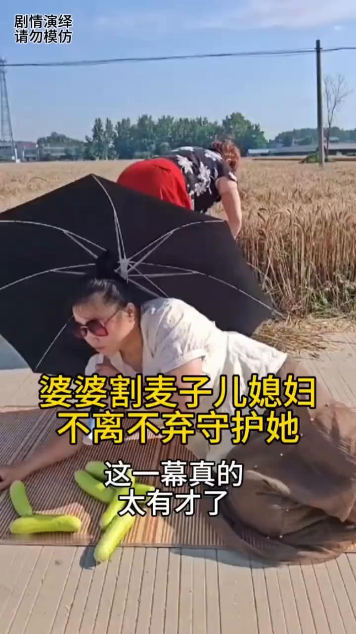 婆婆在地里割麦子太辛苦，于是儿媳妇为了帮忙分担一些，只见她拿着凉席铺在婆婆旁边，