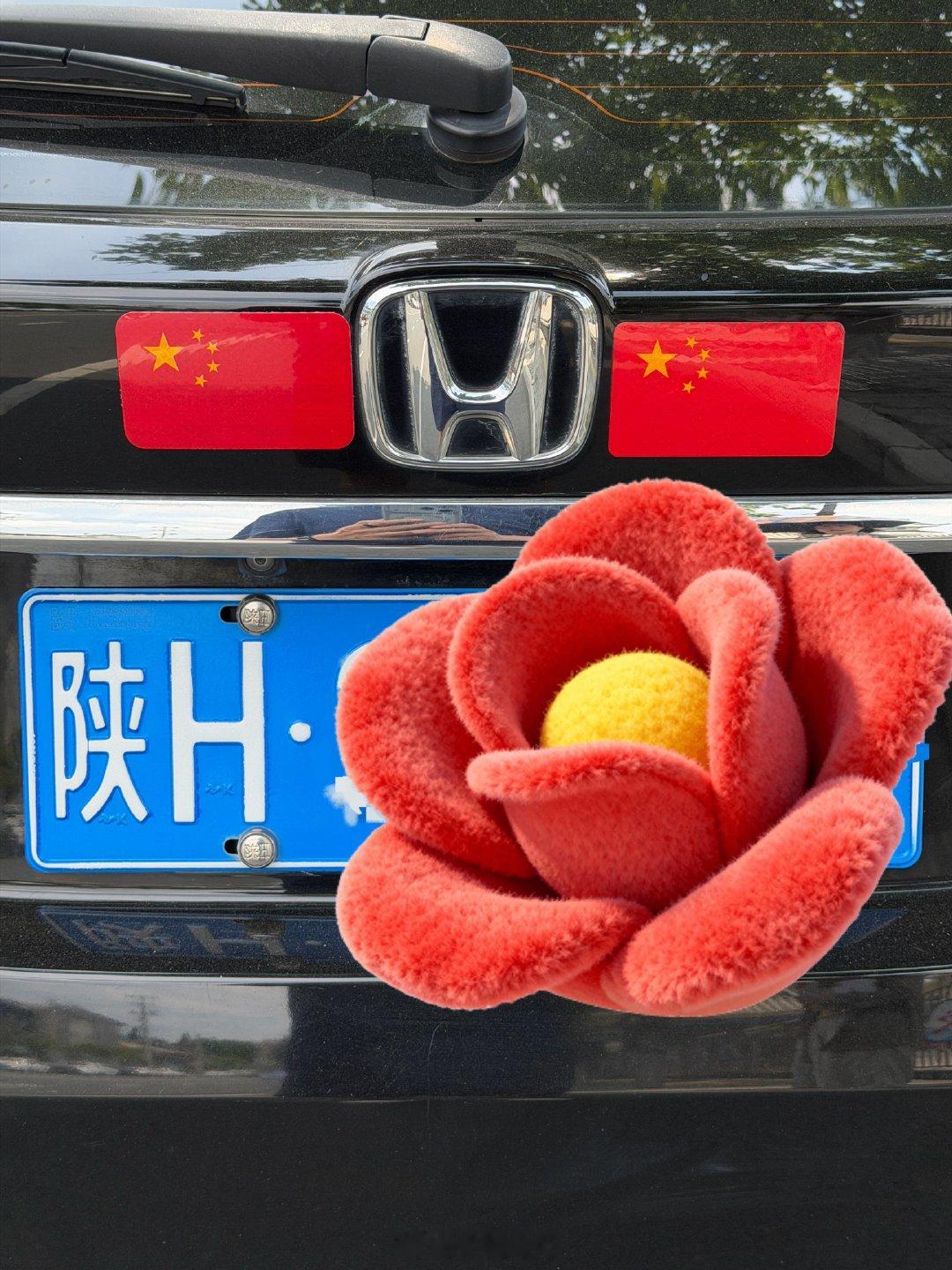 也不知道这算不算预防性贴法？ 商洛·丹凤