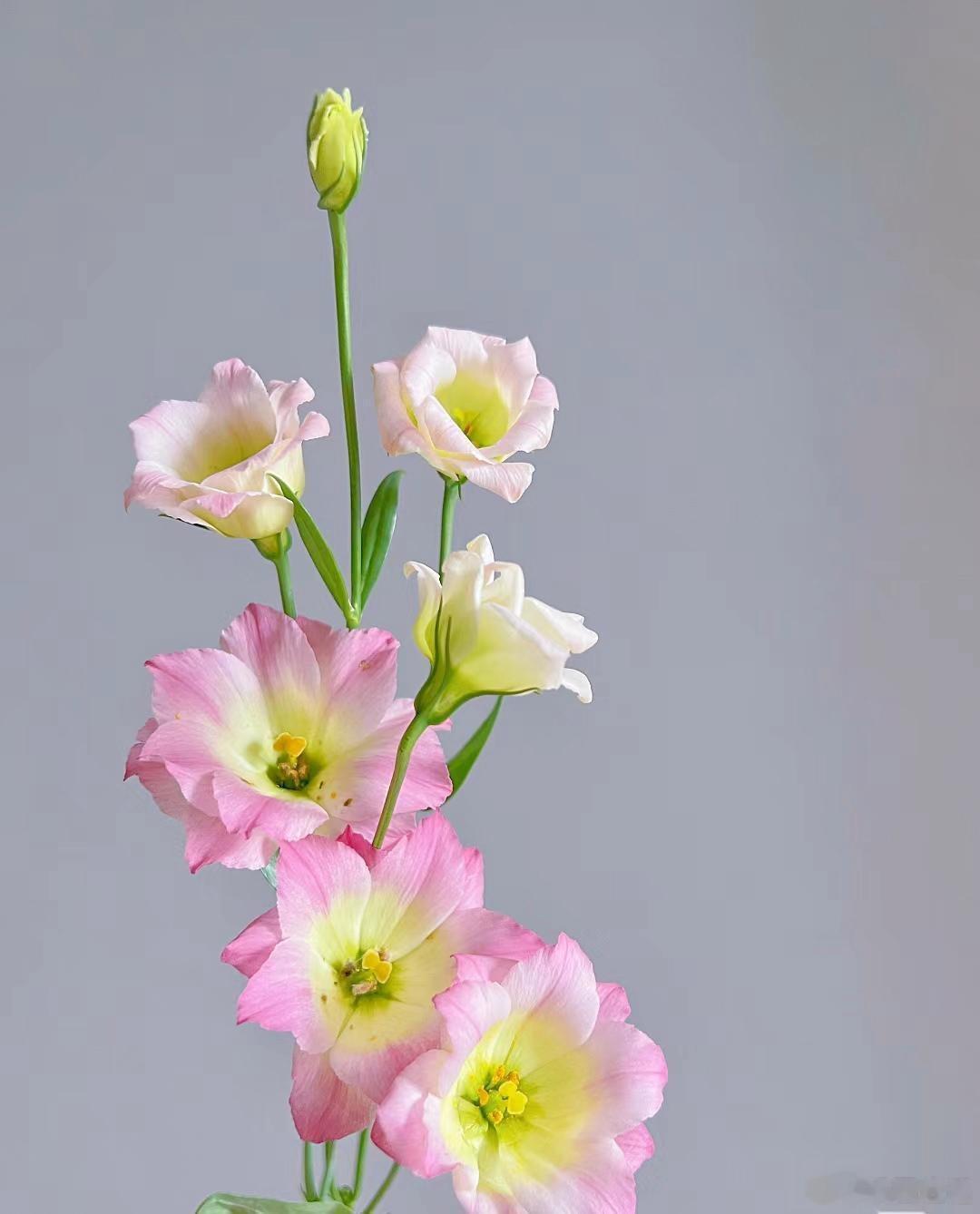 ◡̈²⁰²³·¹⁰·²²｜❥ ʜᴇʟʟᴏ ⛅️❧·̈⃝𖣘̗̀🍁  ̖́-“很