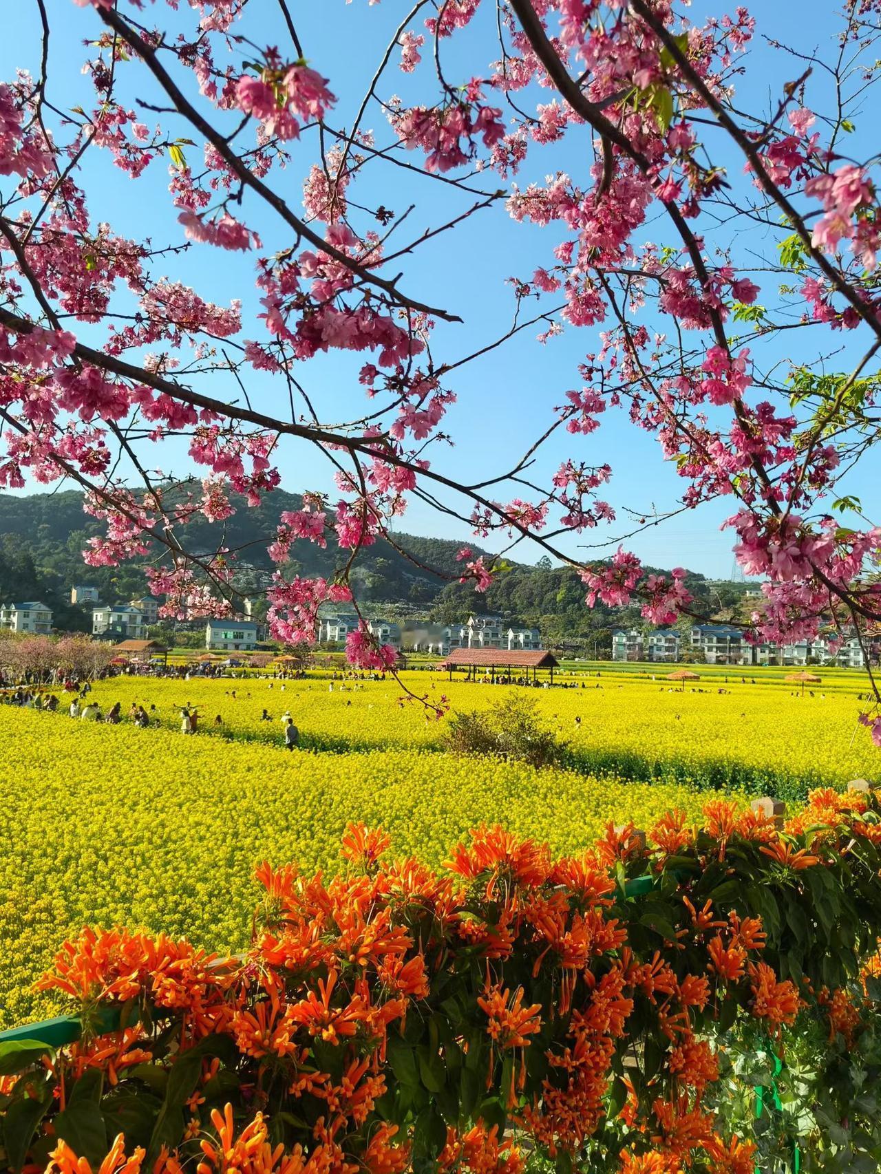 发一张图片，让我猜出你在哪里拍的