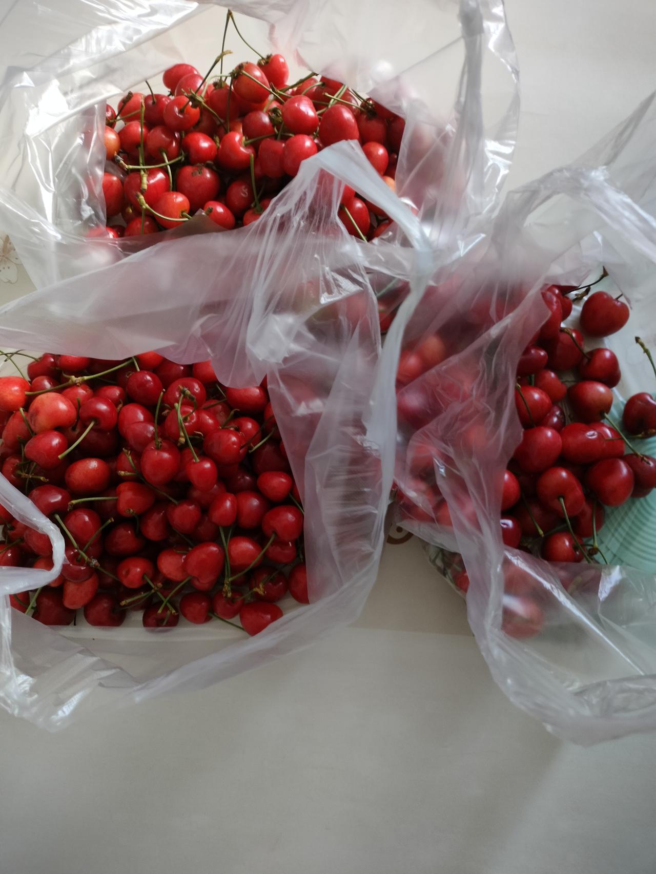 今早醒来的第一个念头，就是去市场买樱桃。
卖樱桃的商家挺多的，樱桃的价格也是分好