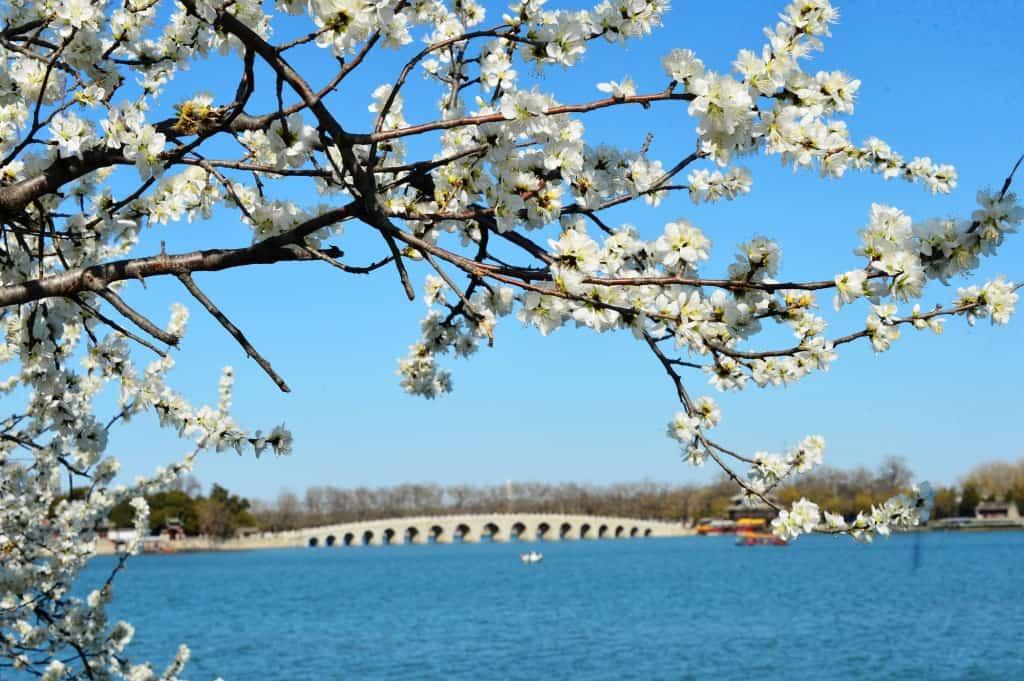 读《近思录》之3.60　

伊川以《易传》示门人，曰：只说得七分，后人更须自体究