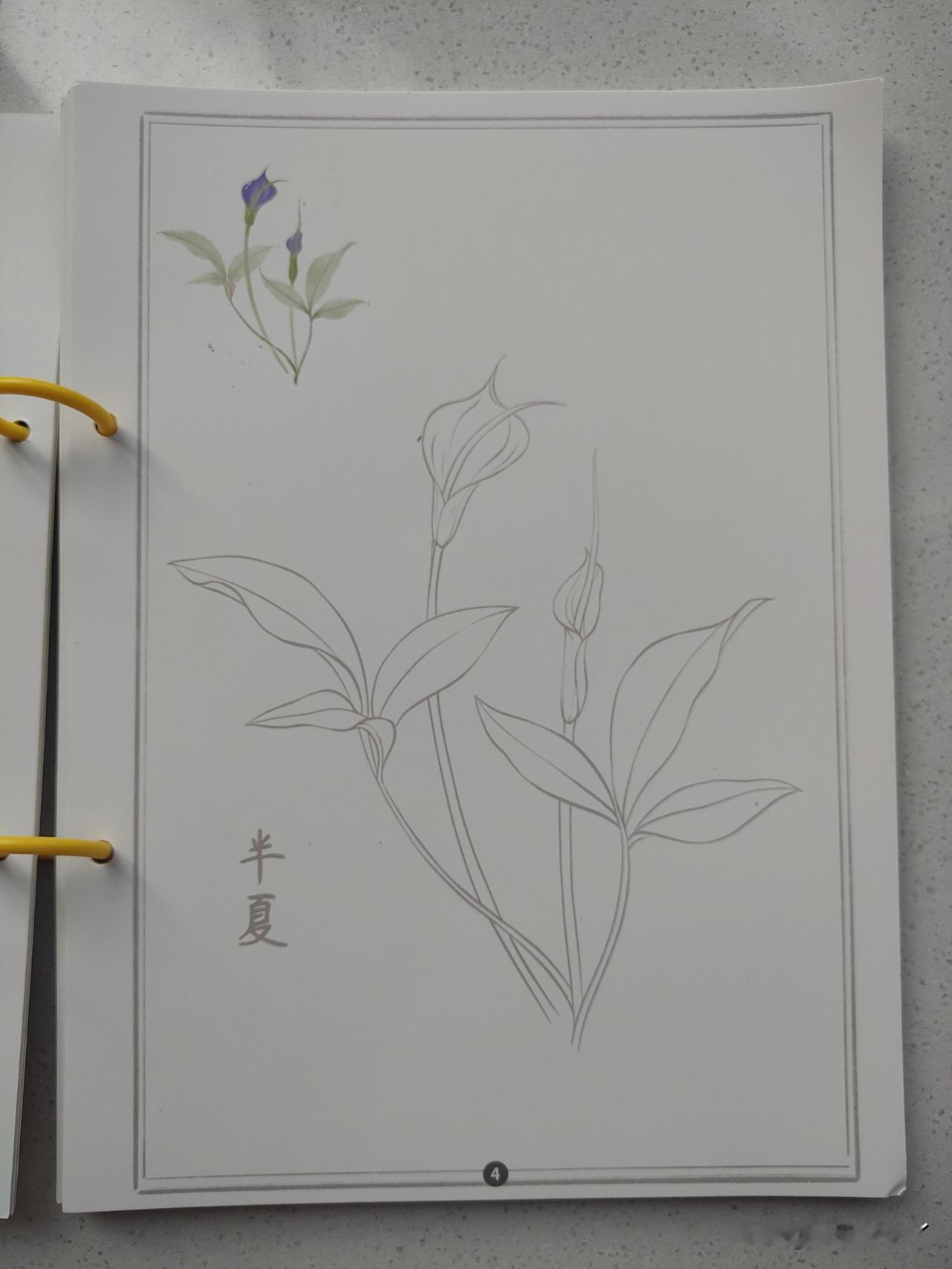 我现在可真是说的算了，想买啥就买啥。因为我每个月有1000块钱零花钱，我不抽烟不