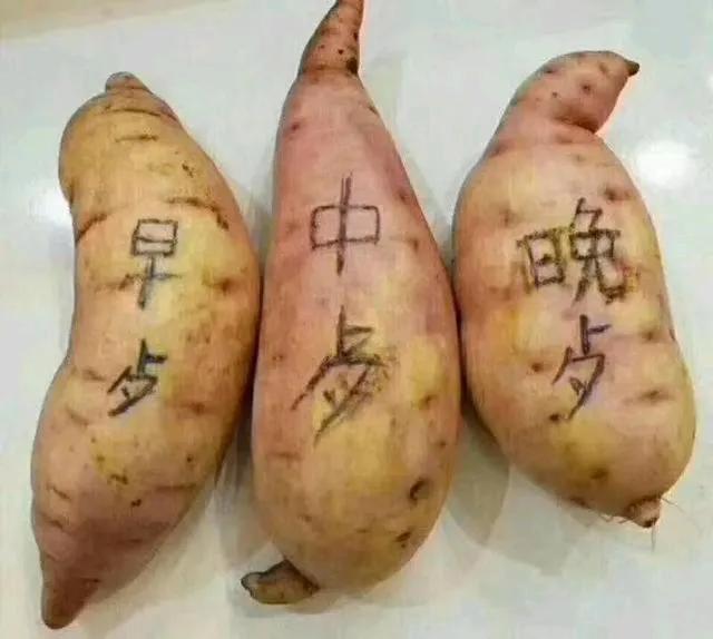 有高人说5年后社会出现如下情形:
1、居民医保缴费将全免，同时实现大病全免费医疗