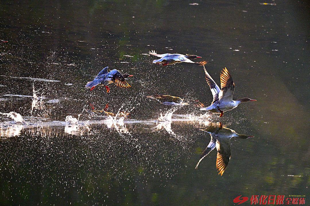 读《近思录》之3.14　

问：如何是“近思”？曰：以类而推。

解读

有人问