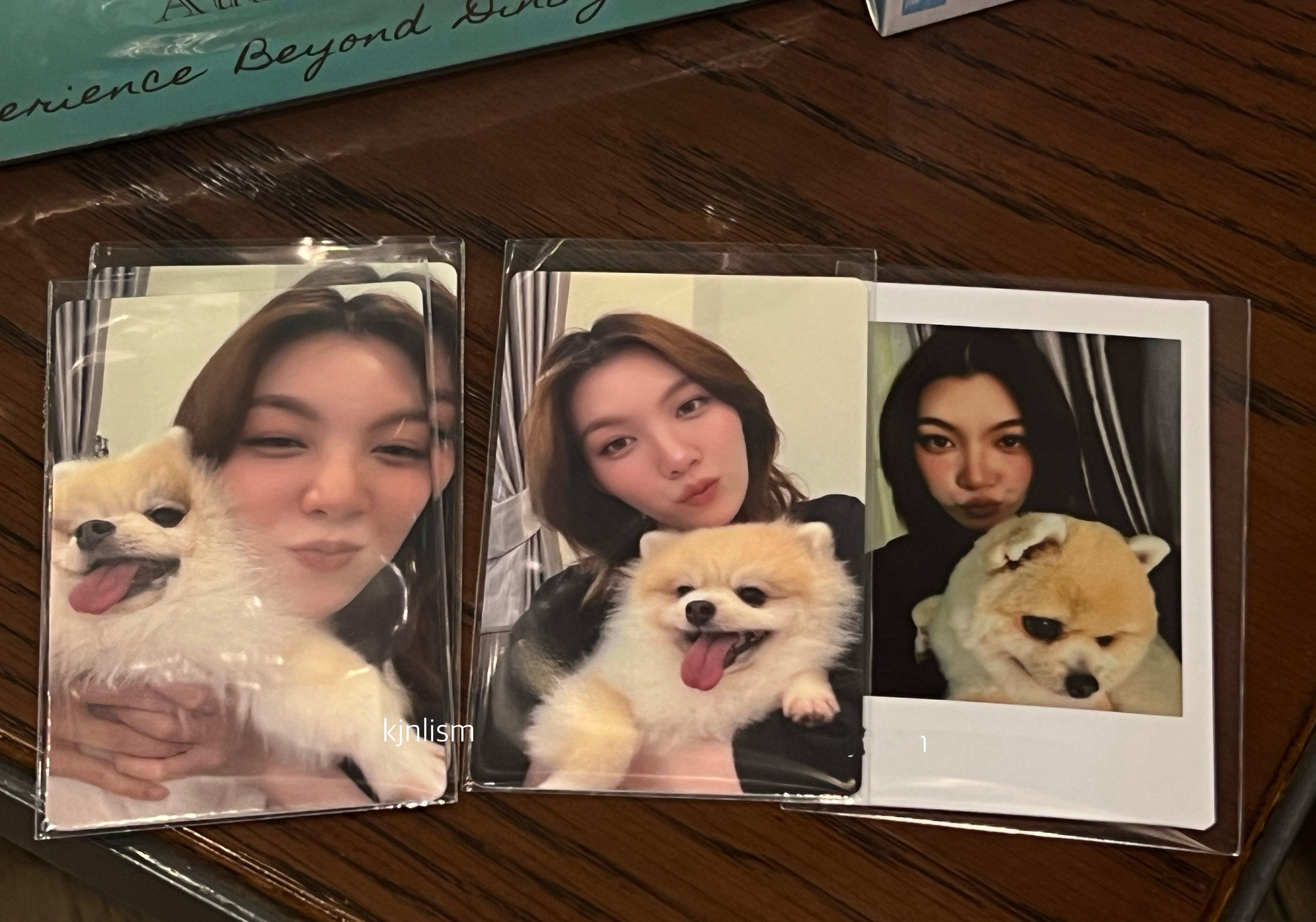 女明星小卡，今天乌尼会不会来 