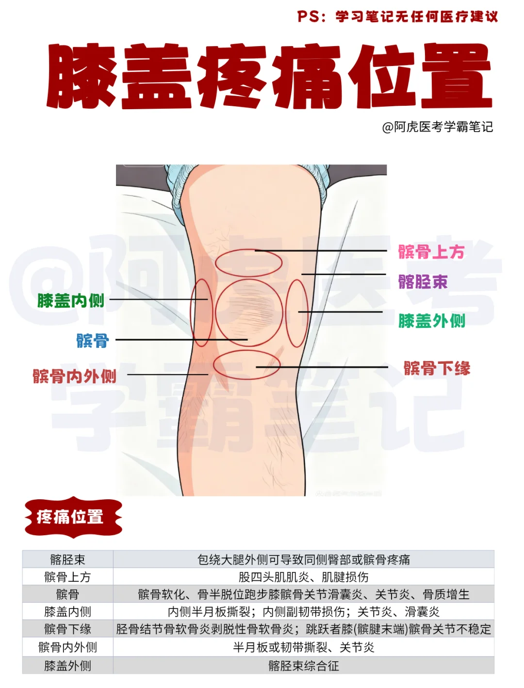 医学生笔记📒：膝盖疼痛位置👆
