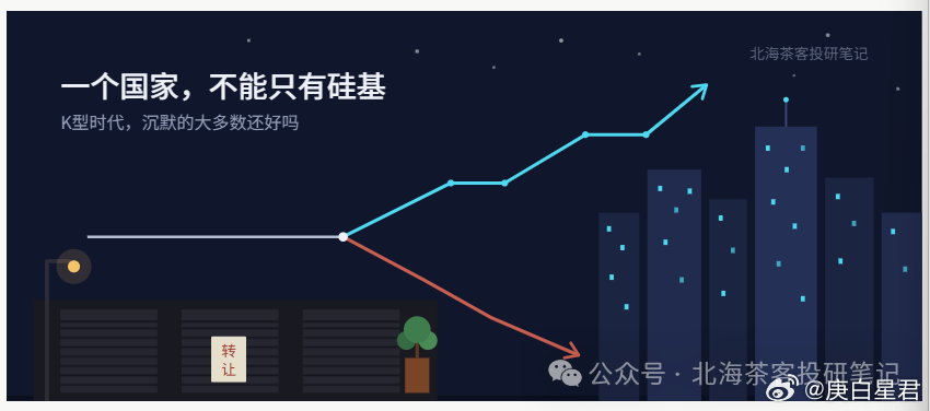 一个国家，不能只有硅基今天我让ai帮我写了篇文章。这个文学水平，真的有点让我吃惊