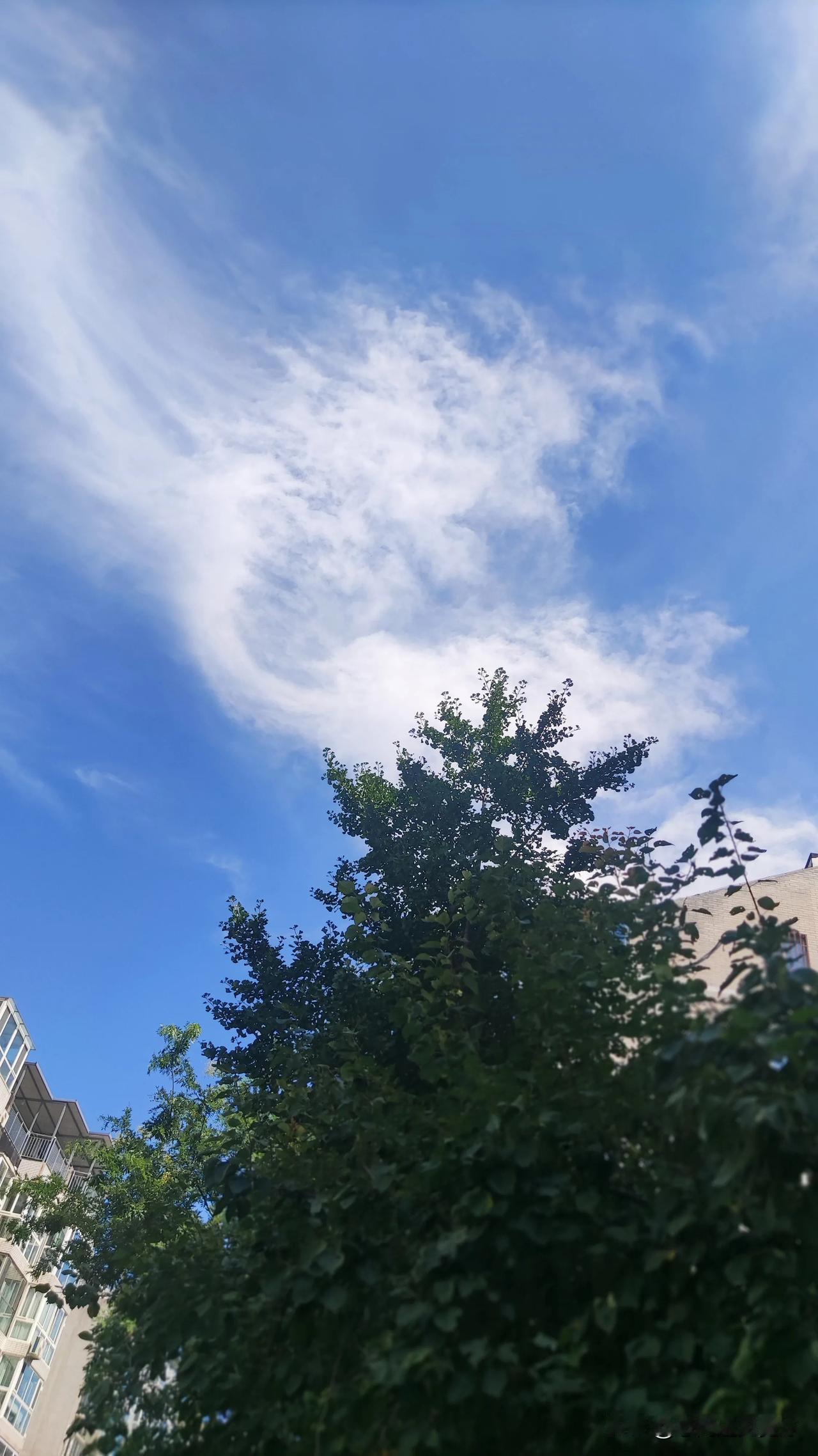 秋天的天空，高远，湛蓝