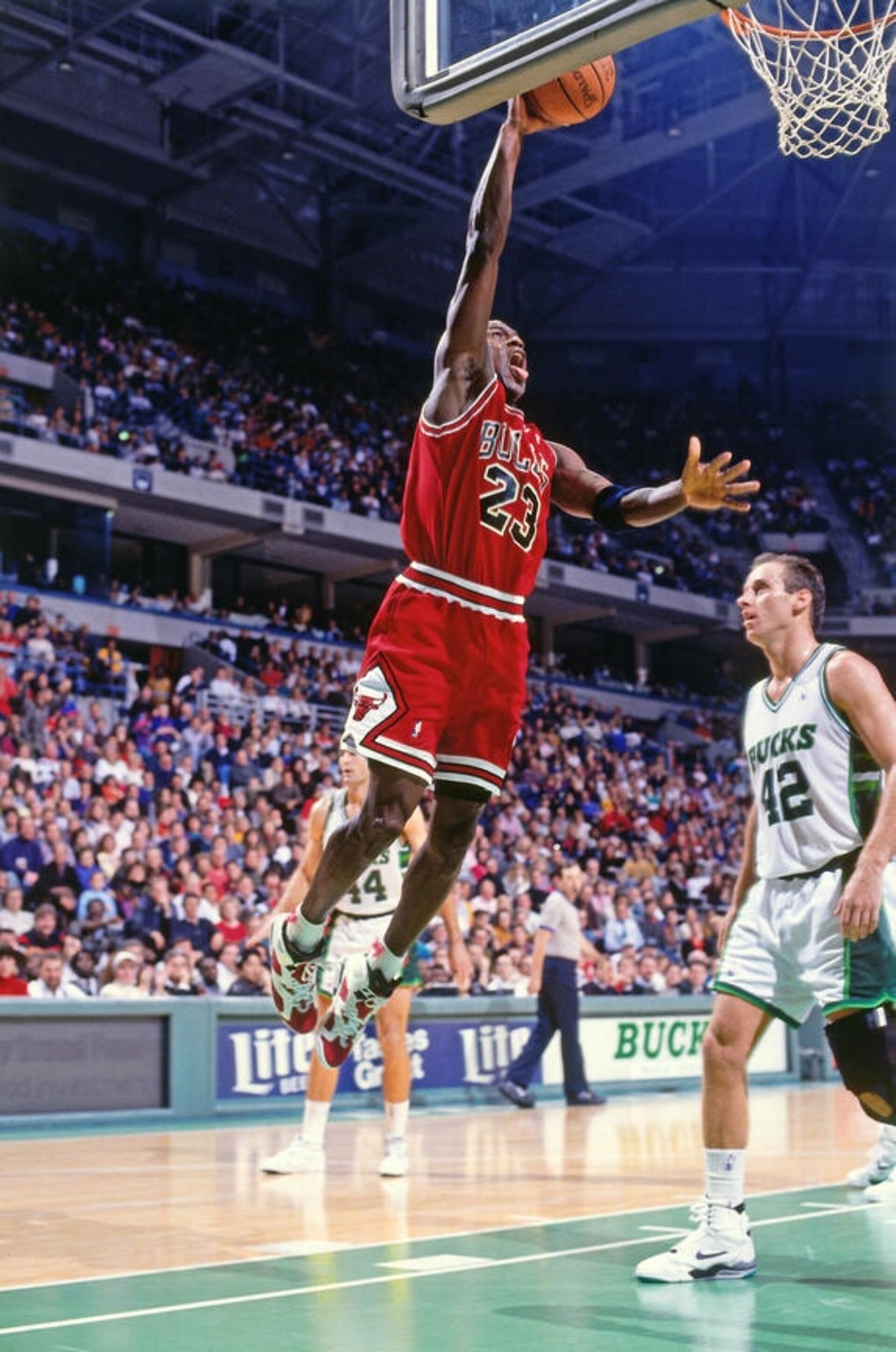 Michael Jordan Carmine  右 