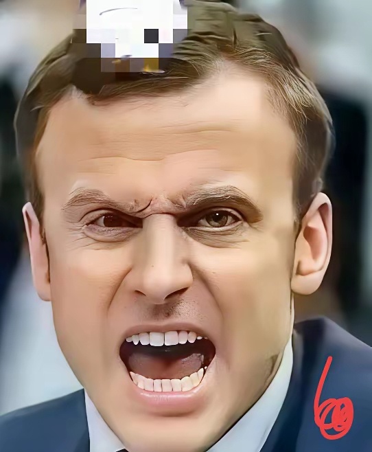 12月7日，马克龙表示：“我已向中方表明，如果他们不予回应，欧洲将不得不在未来数