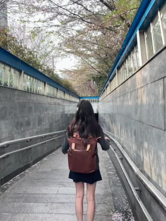 ₊⁺·𖧷 樱花掉落的速度是秒速五厘米 去中山公园拍樱花了🌸