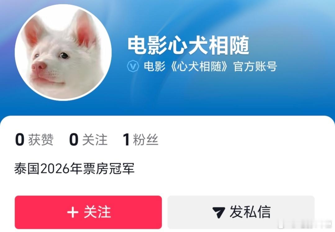路画接的新项目泰国片《心犬相随》，今年4.2泰国上映。《天才枪手》《友情以上》《