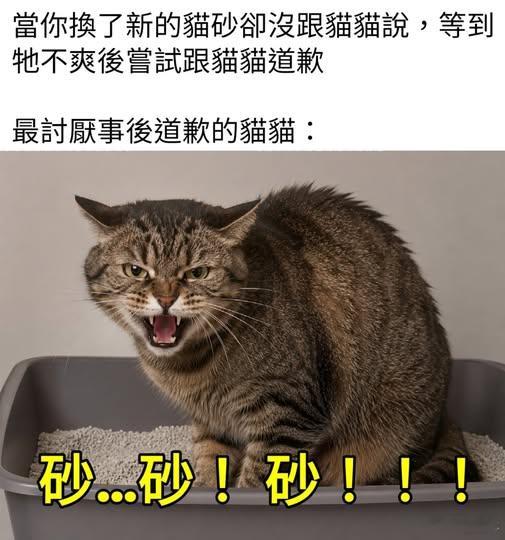 砂砂砂memes迷译图