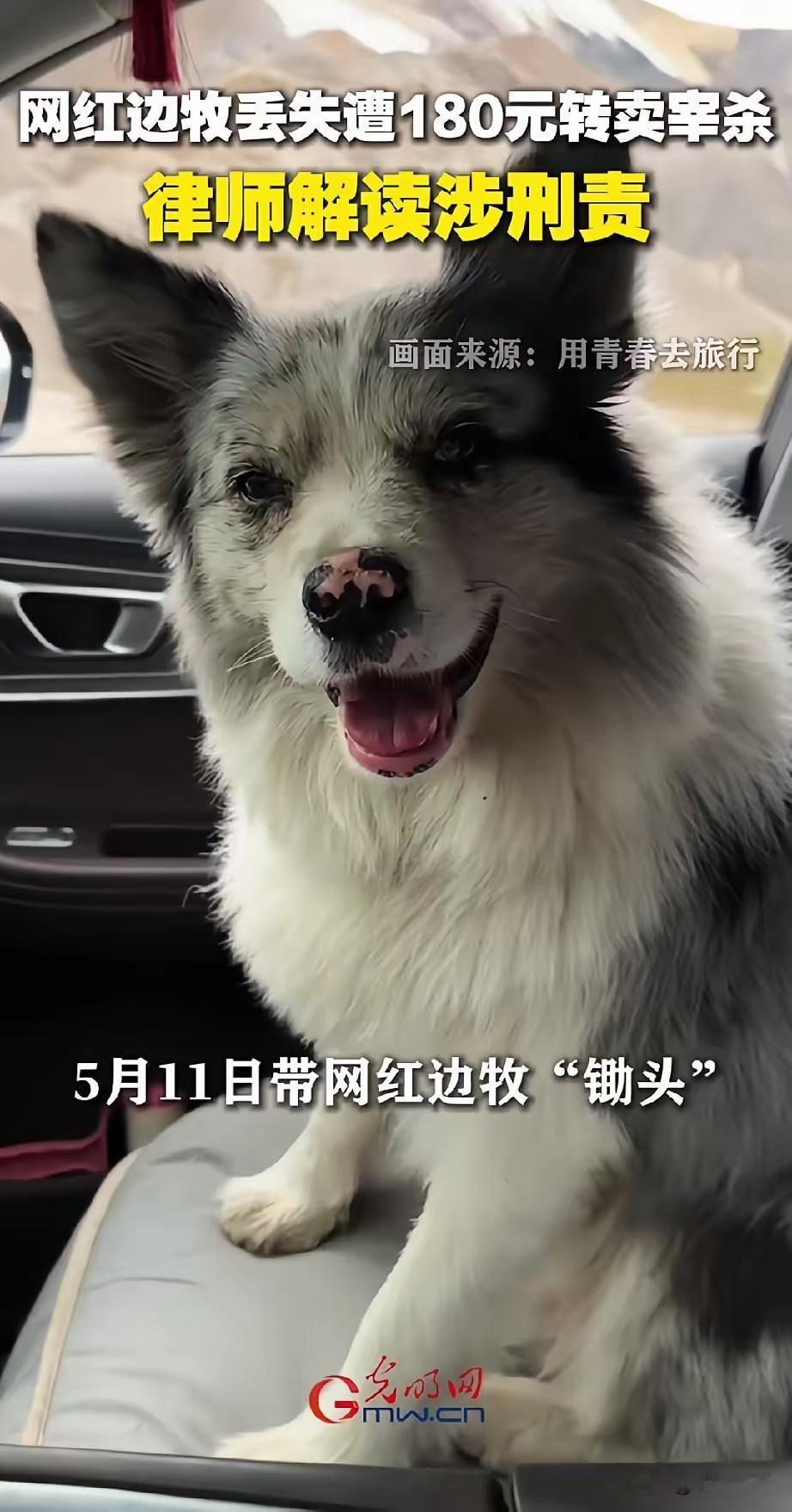 农村人能吃饱了，衣服时尚了，日子过好了，但是道德水准，法律意识没有跟上。他以为偷