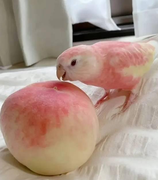 搞笑图片： ​​​