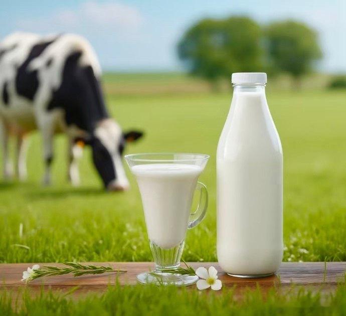 C罗认为人类喝牛奶不正常从远古基因分析角度出发，成年人喝牛奶本身就不正常，特别是