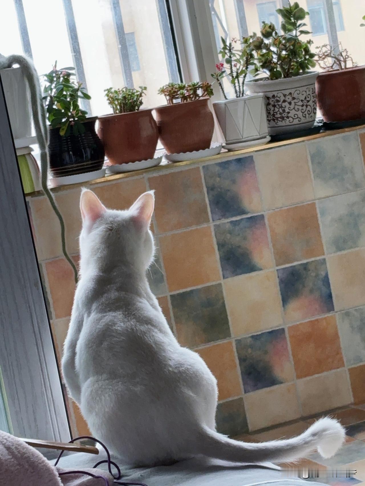 心里踏实、少结仇、身边留下的都是真心人。
不跟人算计，不亏心，睡觉都安稳。
虽然