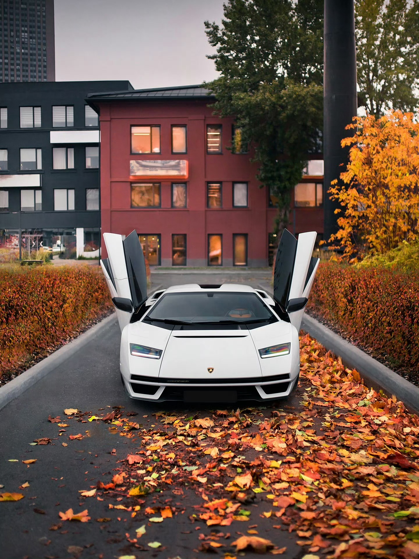 兰博基尼 Countach LP800-4 