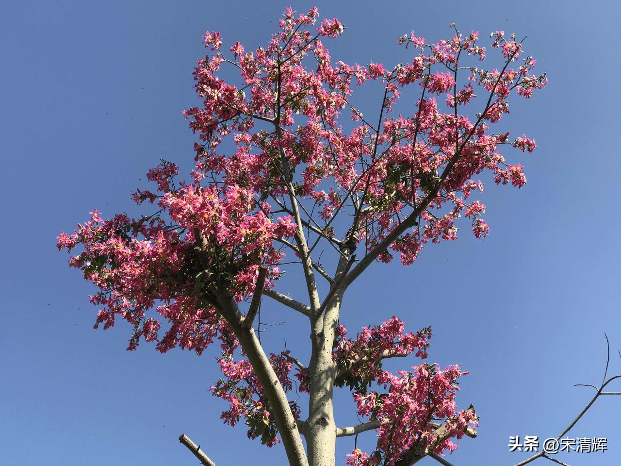 （1391）：孩子，早上好。秋老虎仍在，天气一天似乎比一天热，宅家避暑真不好受，