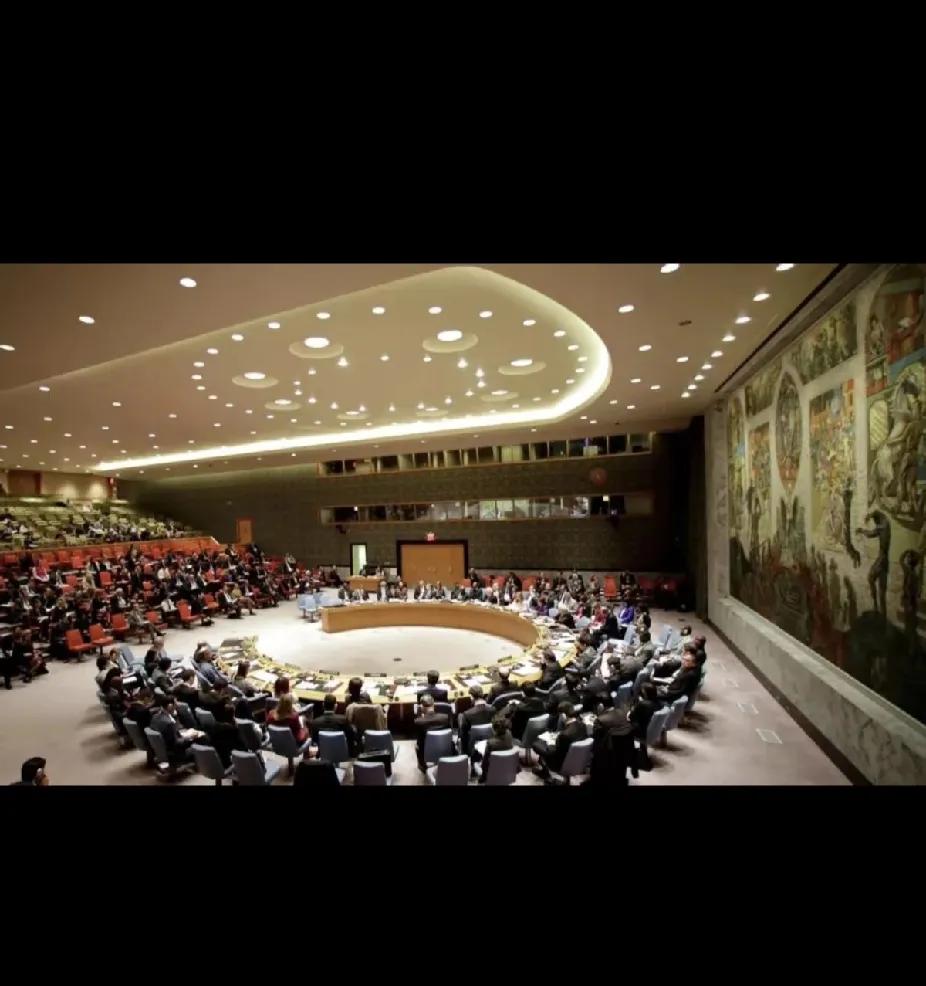 老美这回栽大了！特朗普做梦也没想到，竟被委内瑞拉这南美小国押上联合国安理会被告席