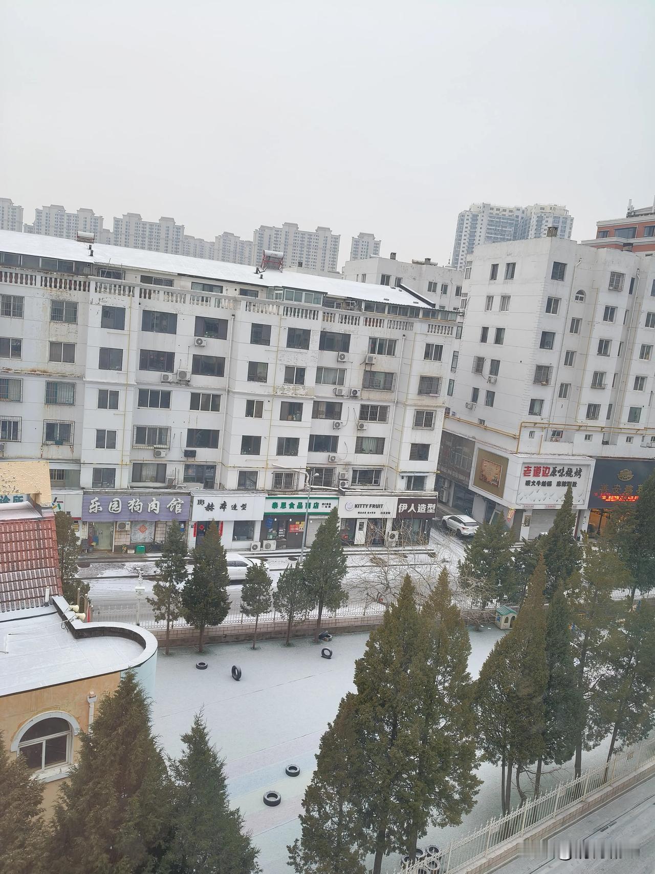 凌晨五点，秦皇岛被雪“冻”进了寂静：一场让喧嚣失语的白色仪式

清晨是被一种异样