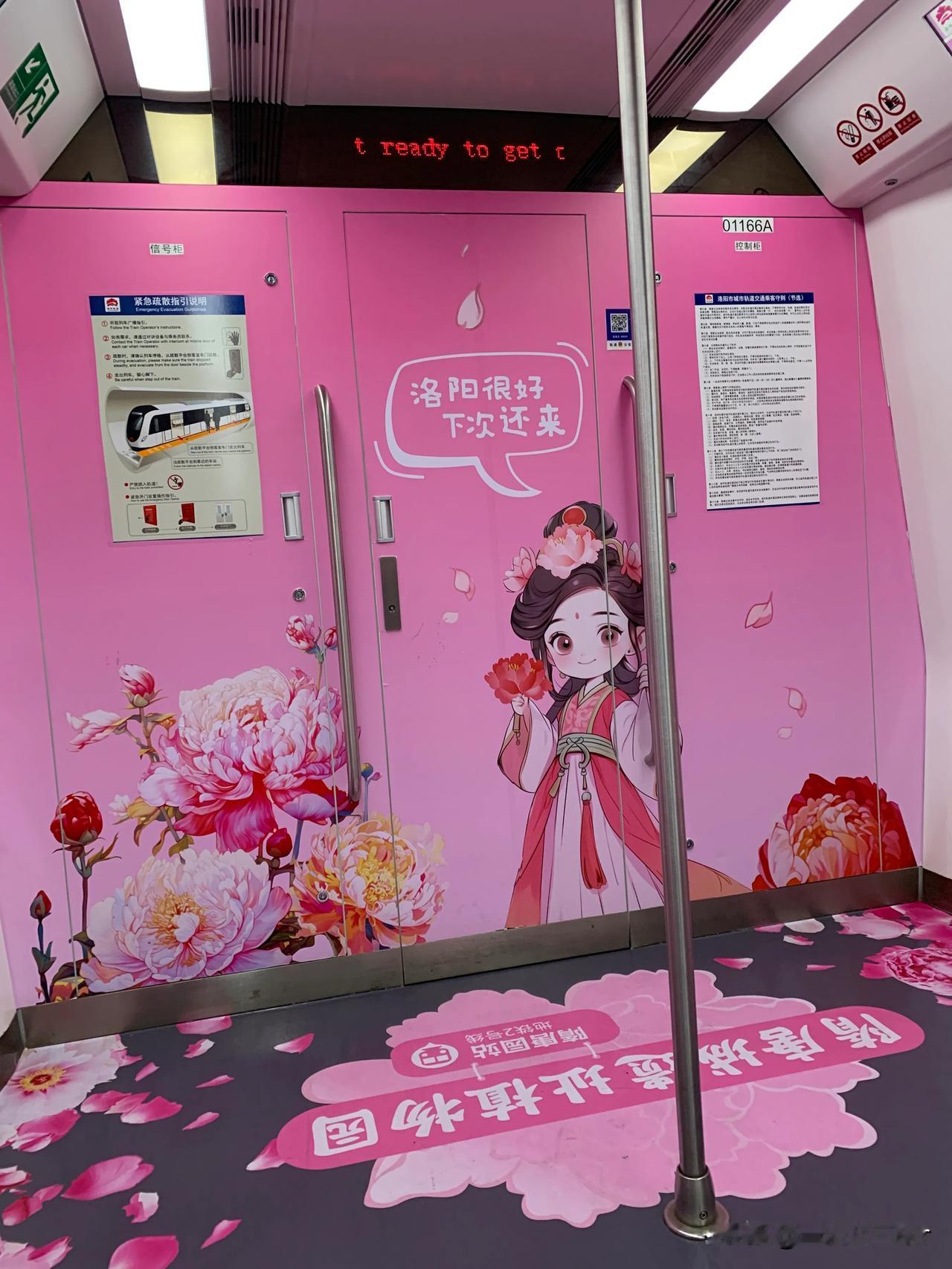 属于洛阳人的浪漫💕