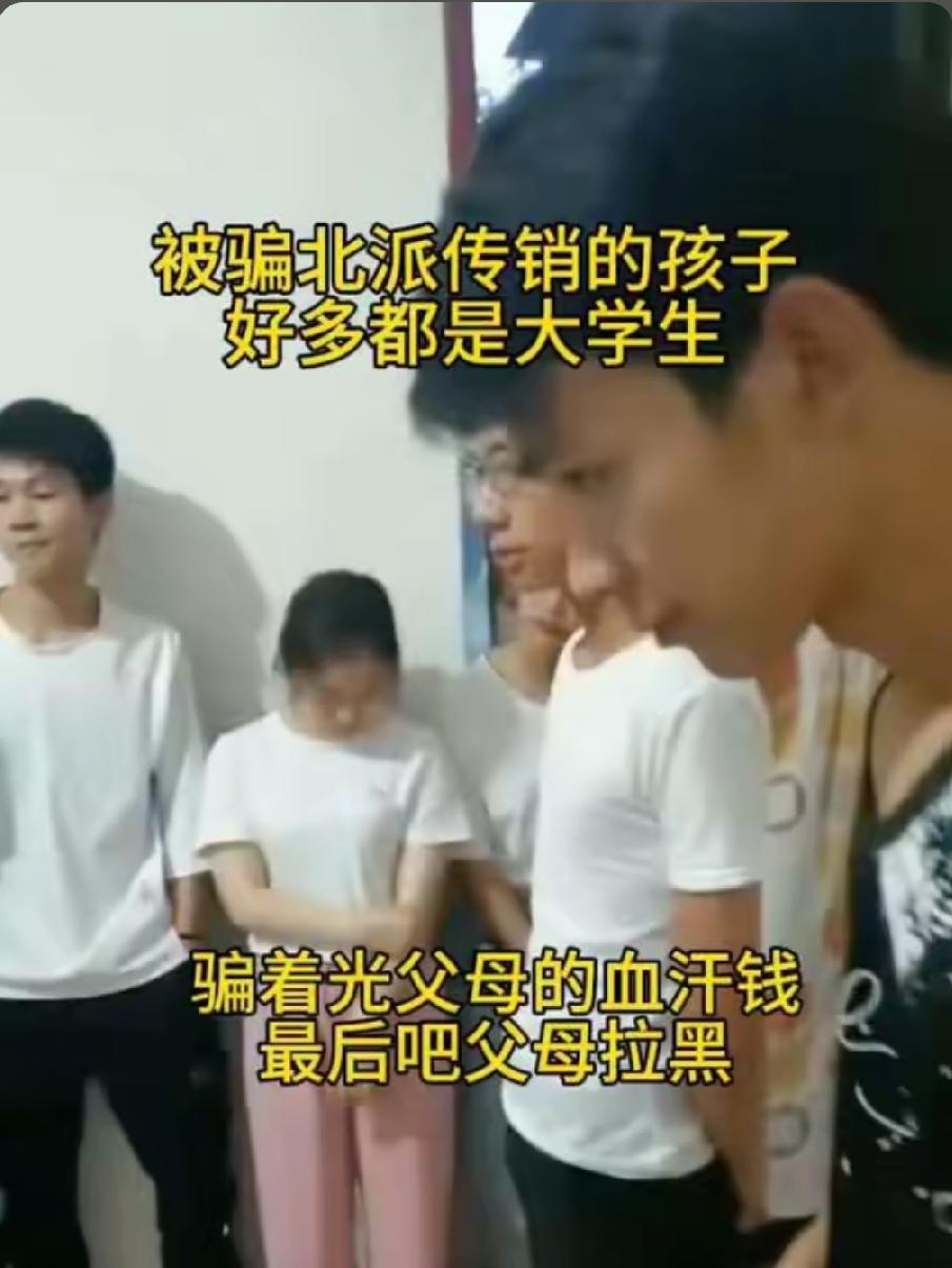 很多人都觉得，只有贪图暴富的人才会掉进传销陷阱。可现实里，刚毕业的年轻人、急于创