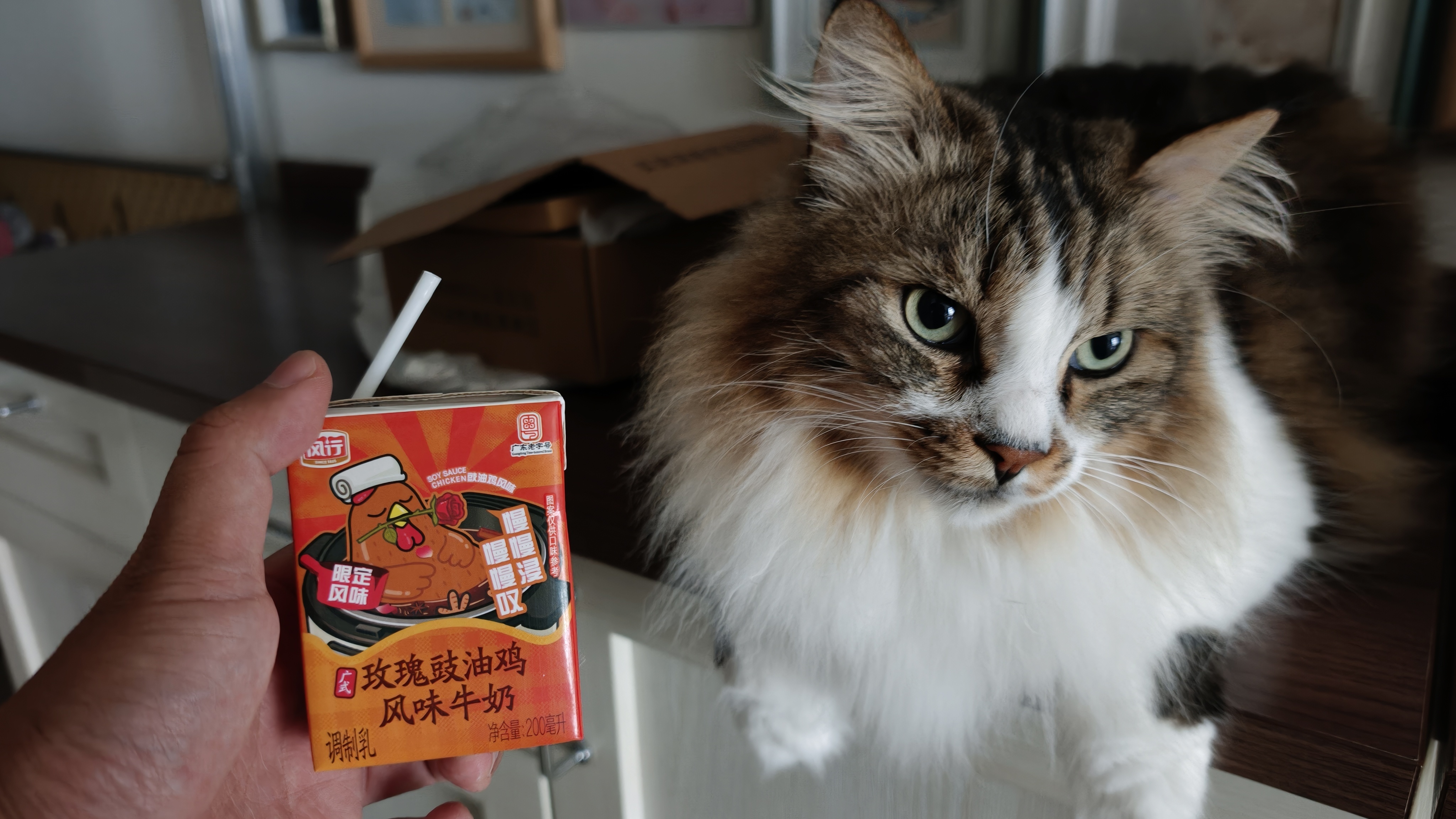 你还别说，真的有点好喝就是那种……巧克力跑偏了的味道你们的调味师傅应该加鸡腿了