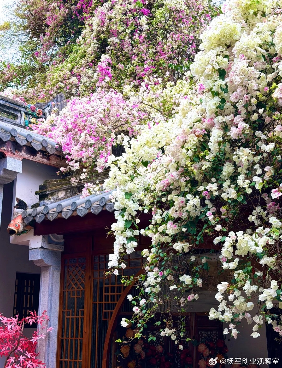 很多创业者讲产品头头是道，但一问卖点就卡壳。说清卖点，融资快人一步！记住：特点≠